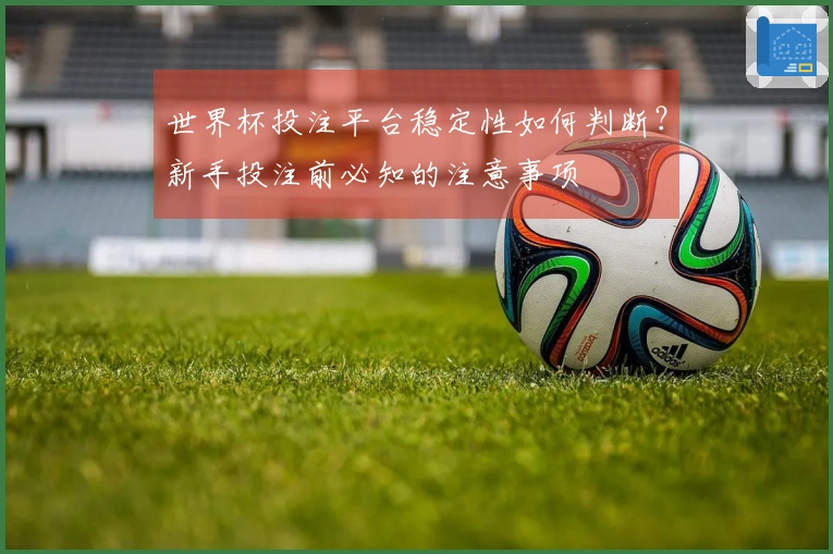 世界杯投注平台稳定性如何判断？新手投注前必知的注意事项