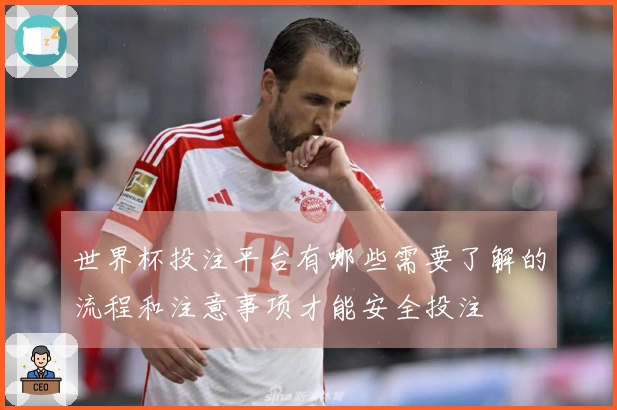 世界杯投注平台有哪些需要了解的流程和注意事项才能安全投注