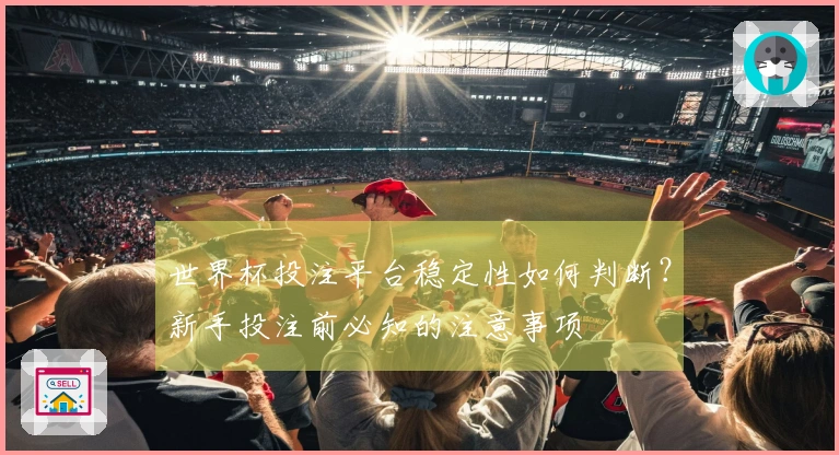 世界杯投注平台稳定性如何判断？新手投注前必知的注意事项