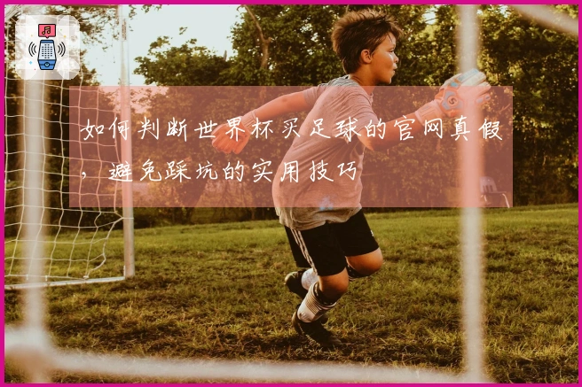 如何判断世界杯买足球的官网真假，避免踩坑的实用技巧