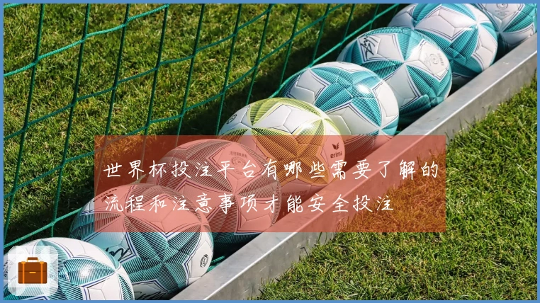 世界杯投注平台有哪些需要了解的流程和注意事项才能安全投注