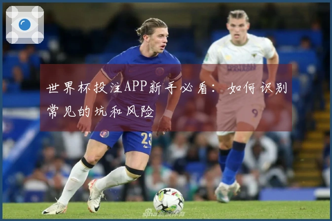 世界杯投注APP新手必看：如何识别常见的坑和风险